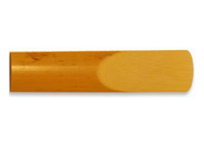 Cañas Sueltas
